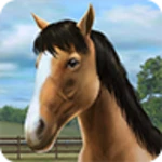 my horse android application logo